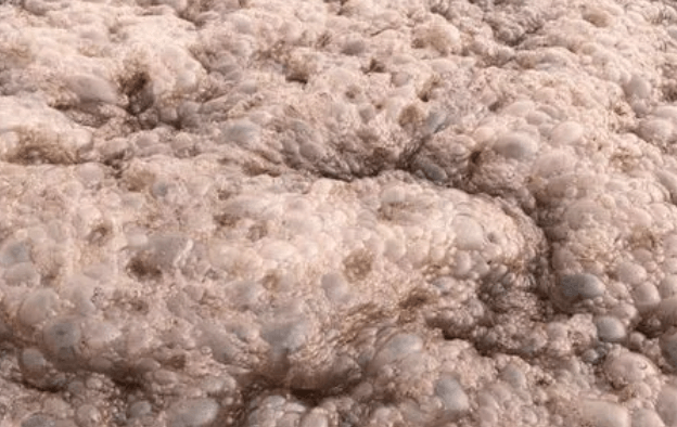 (圖:垃圾填埋場污水泡沫)