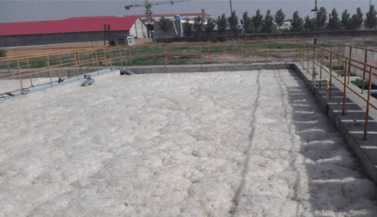 （圖：污水廠泡沫池現場）