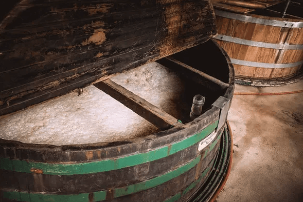 （圖：發酵泡沫場景）