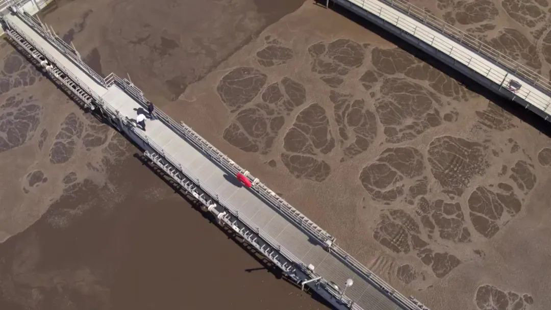 (圖:生活污水泡沫池)