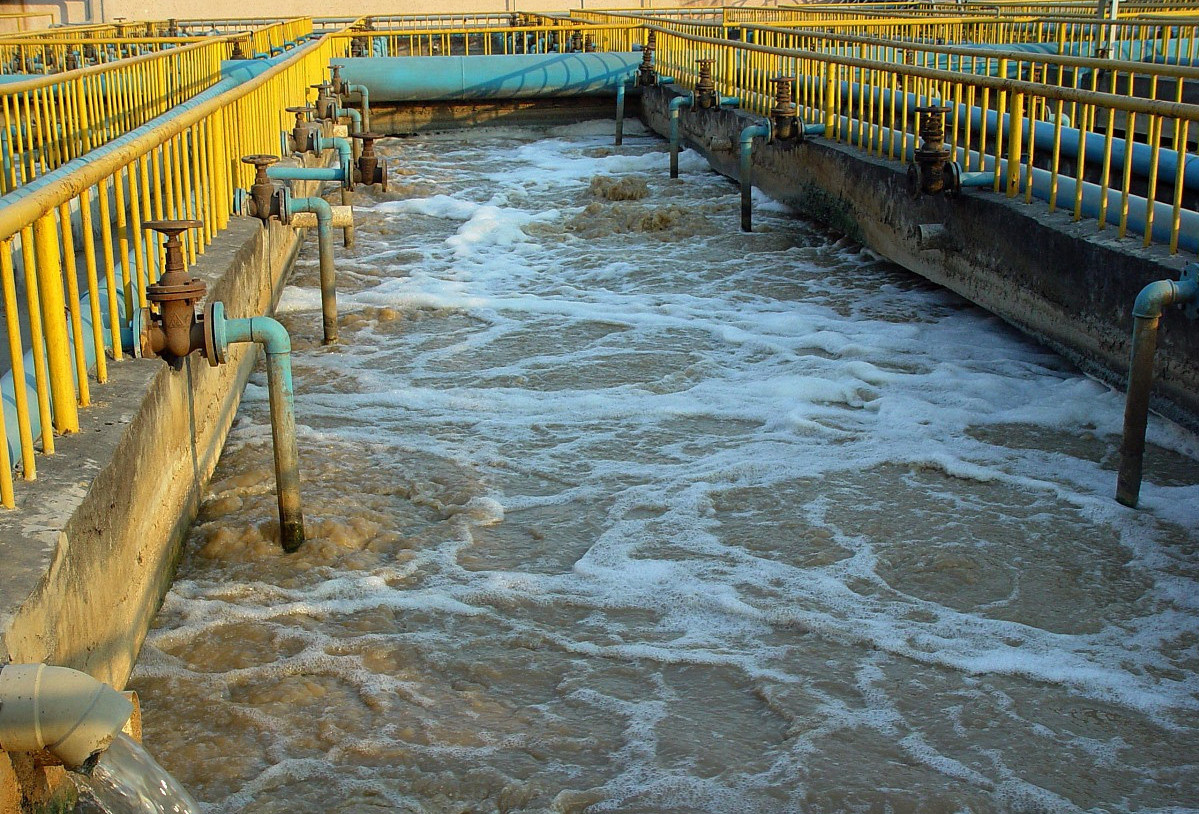 (圖:養殖場污水泡沫池)
